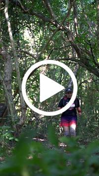 BIB:  <button type="button" onclick="openModal(28078517)" class="btn btn-primary btn-sm float-right" data-toggle="modal" data-target=".modal-high-quality">
                <i class="fa fa-download"></i> Download
                </button>